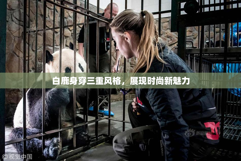 白鹿身穿三重风格，展现时尚新魅力