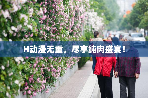 H动漫无重，尽享纯肉盛宴！