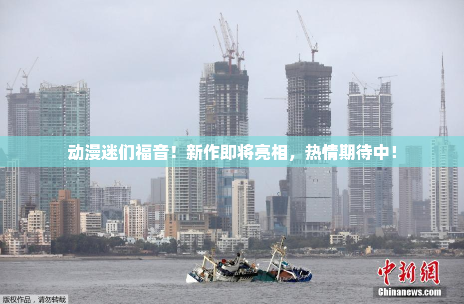 动漫迷们福音！新作即将亮相，热情期待中！