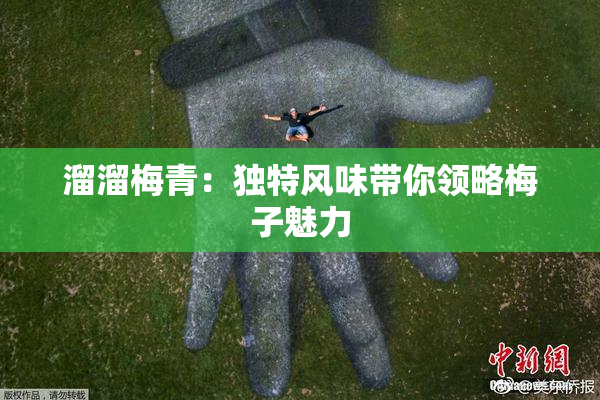 溜溜梅青：独特风味带你领略梅子魅力