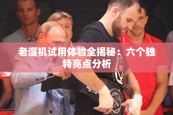 老湿机试用体验全揭秘：六个独特亮点分析