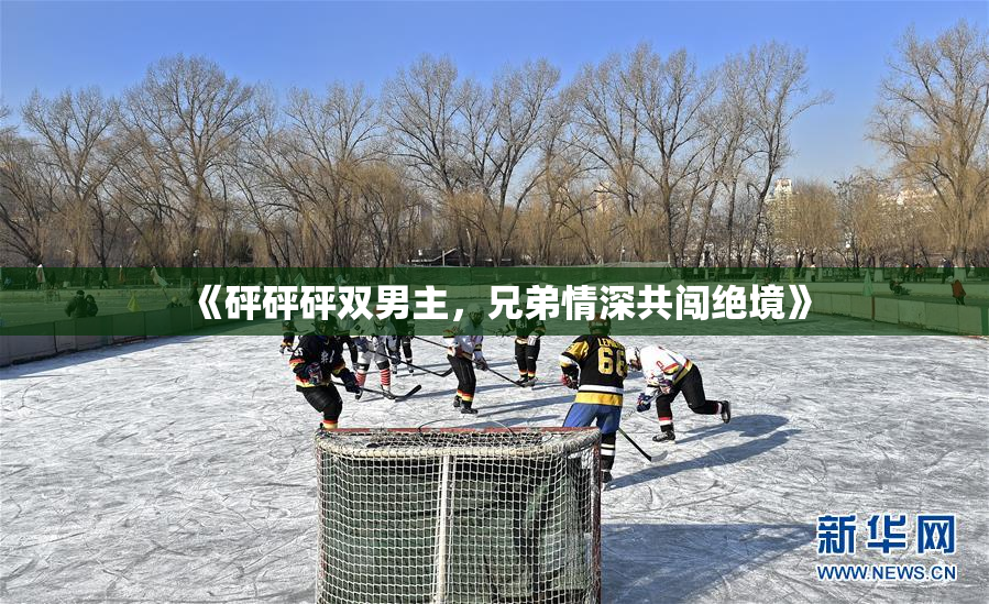 《砰砰砰双男主，兄弟情深共闯绝境》