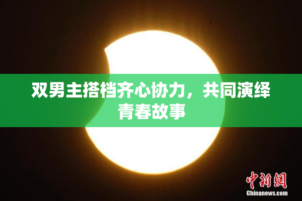 双男主搭档齐心协力，共同演绎青春故事