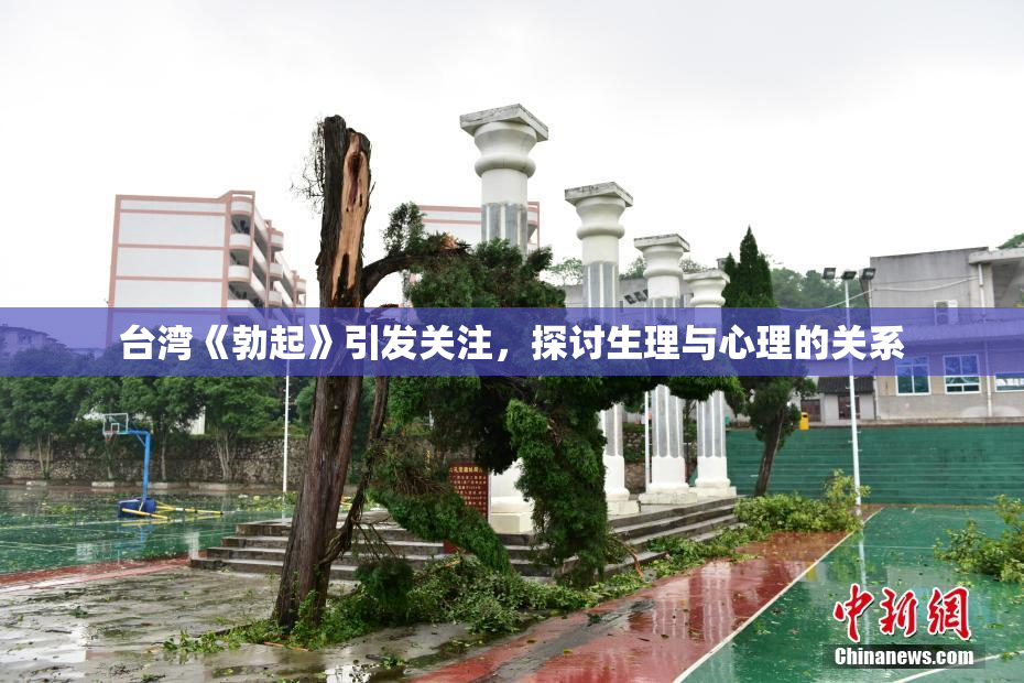 台湾《勃起》引发关注，探讨生理与心理的关系