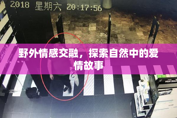 野外情感交融，探索自然中的爱情故事