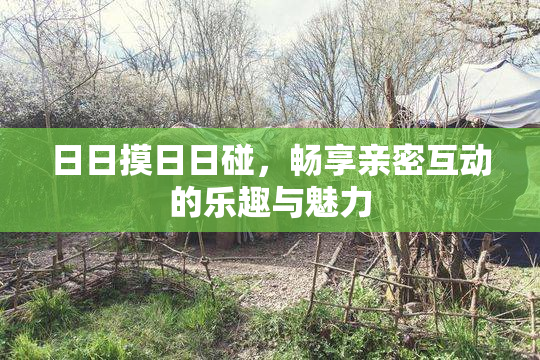 日日摸日日碰，畅享亲密互动的乐趣与魅力