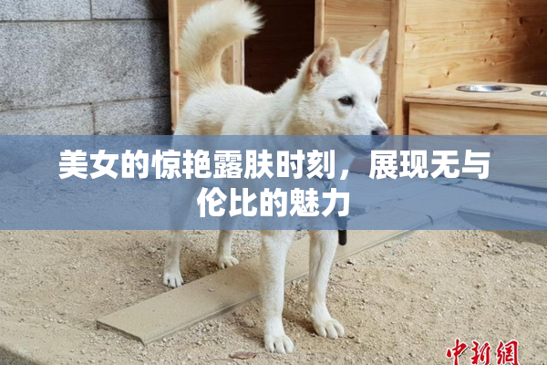 美女的惊艳露肤时刻，展现无与伦比的魅力