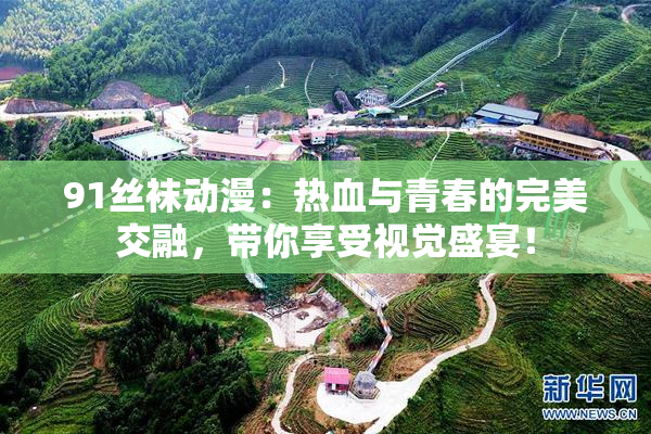 91丝袜动漫：热血与青春的完美交融，带你享受视觉盛宴！