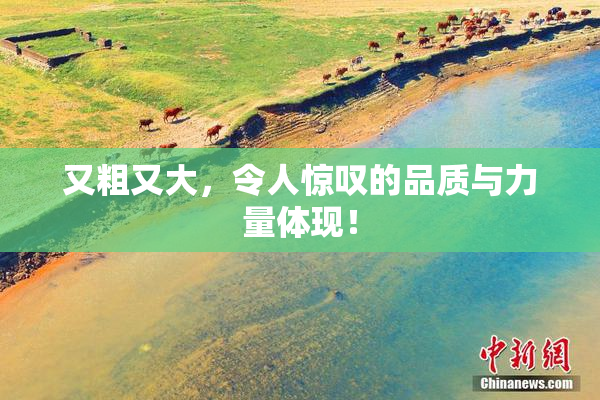 又粗又大，令人惊叹的品质与力量体现！