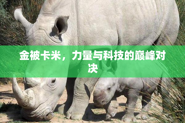 金被卡米，力量与科技的巅峰对决