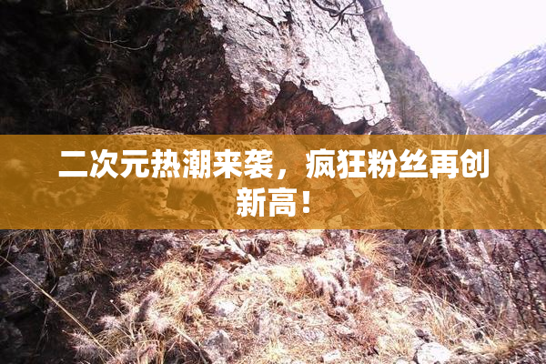 二次元热潮来袭，疯狂粉丝再创新高！