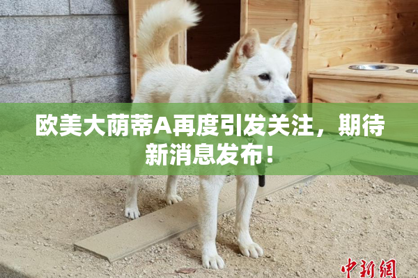 欧美大荫蒂A再度引发关注，期待新消息发布！