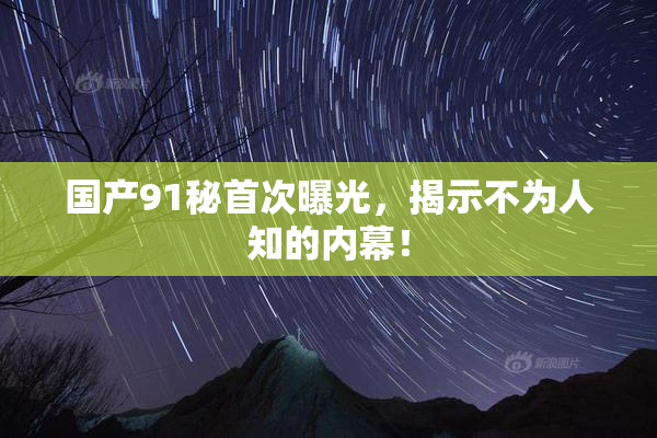 国产91秘首次曝光，揭示不为人知的内幕！