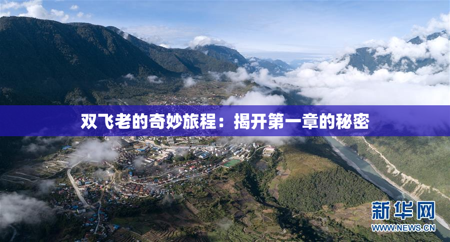 双飞老的奇妙旅程：揭开第一章的秘密