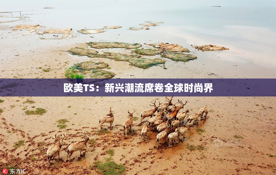 欧美TS：新兴潮流席卷全球时尚界