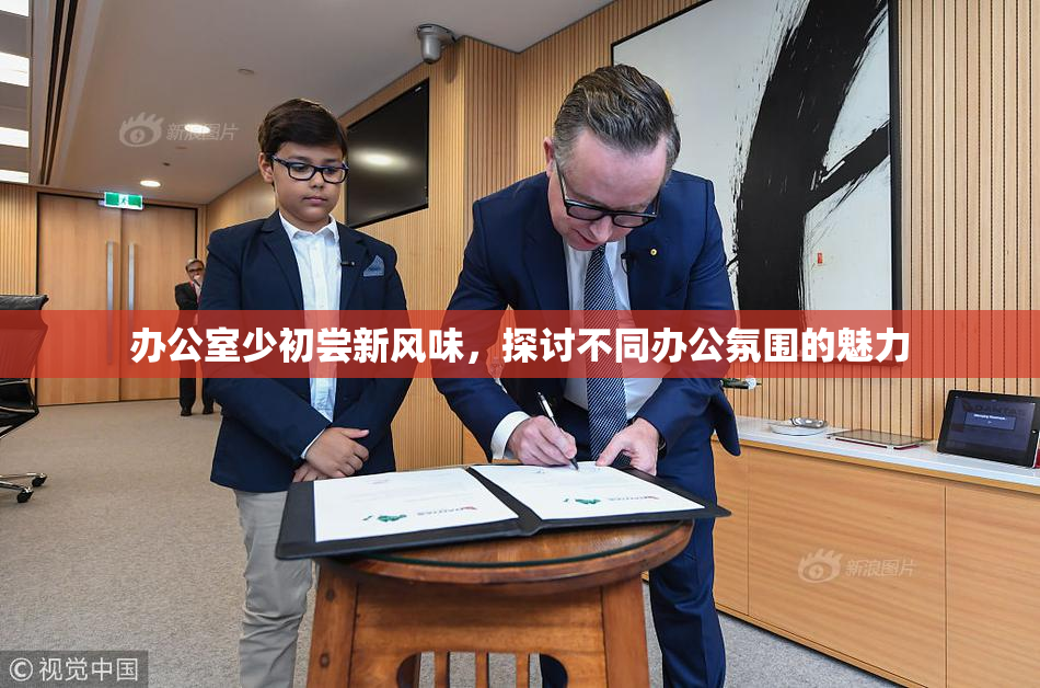 办公室少初尝新风味，探讨不同办公氛围的魅力