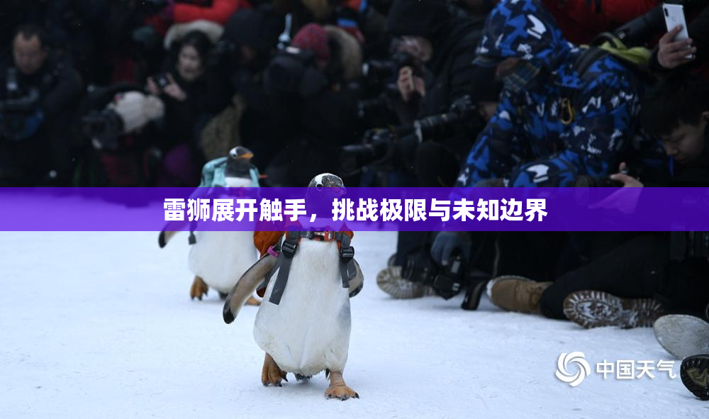 雷狮展开触手，挑战极限与未知边界