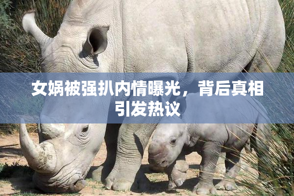女娲被强扒内情曝光，背后真相引发热议