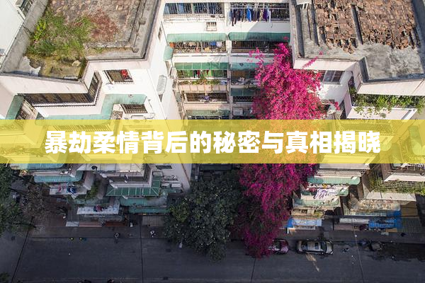 暴劫柔情背后的秘密与真相揭晓