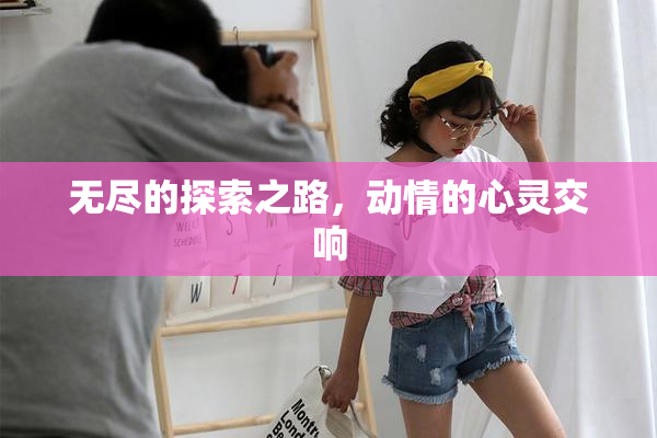 无尽的探索之路，动情的心灵交响
