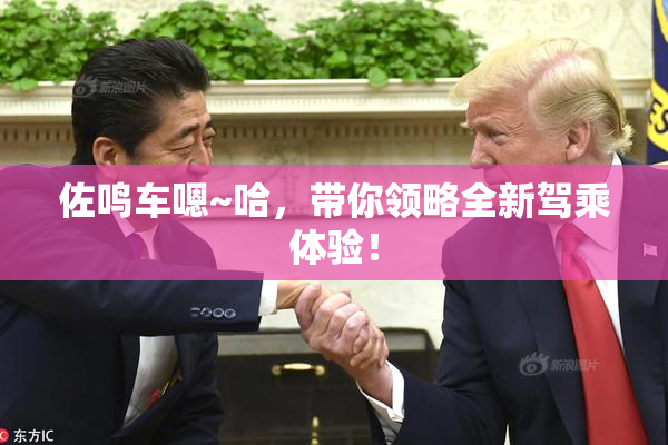 佐鸣车嗯~哈，带你领略全新驾乘体验！