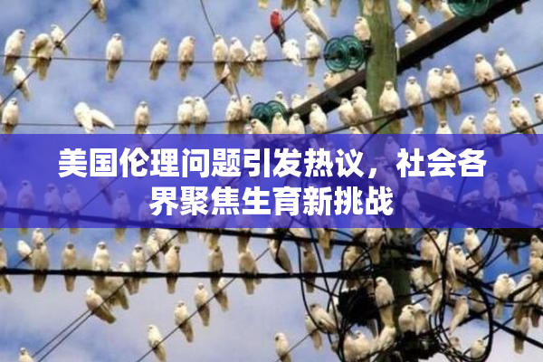 美国伦理问题引发热议，社会各界聚焦生育新挑战