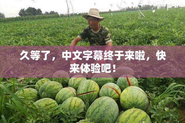 久等了，中文字幕终于来啦，快来体验吧！