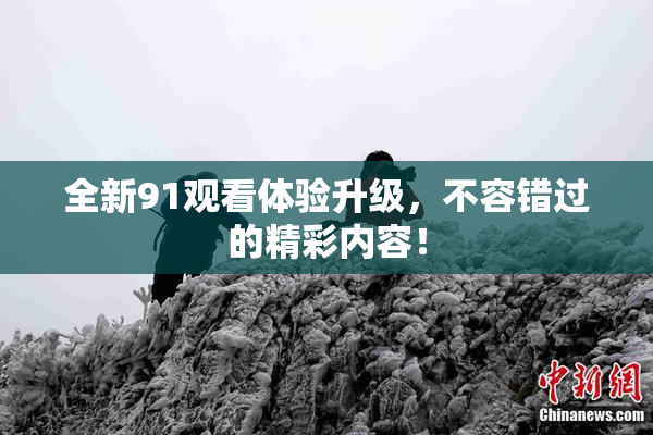全新91观看体验升级，不容错过的精彩内容！