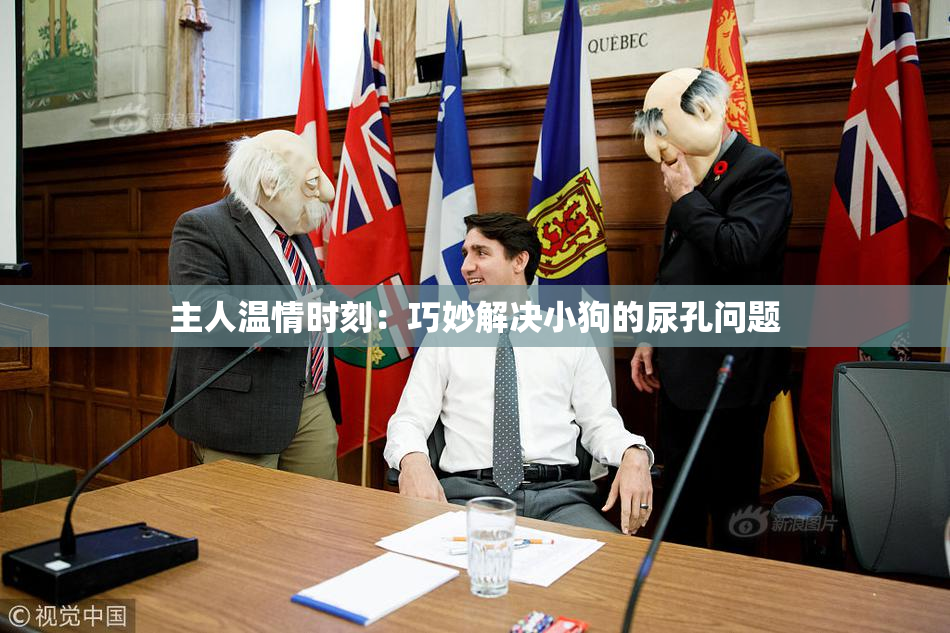 主人温情时刻：巧妙解决小狗的尿孔问题
