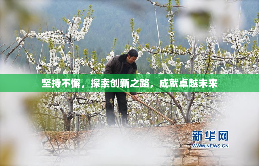 坚持不懈，探索创新之路，成就卓越未来