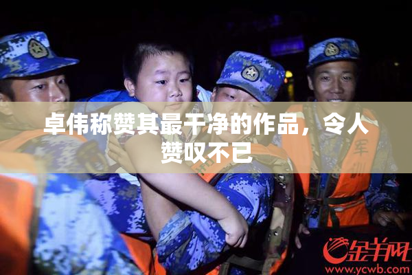 卓伟称赞其最干净的作品，令人赞叹不已
