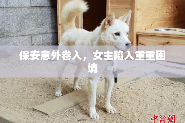 保安意外卷入，女主陷入重重困境