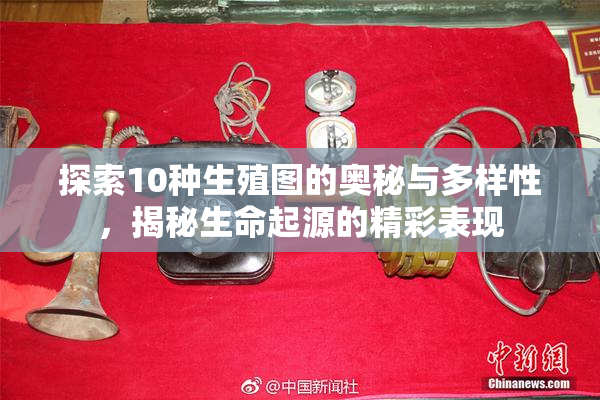 探索10种生殖图的奥秘与多样性，揭秘生命起源的精彩表现