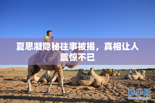 夏思凝隐秘往事被揭，真相让人震惊不已