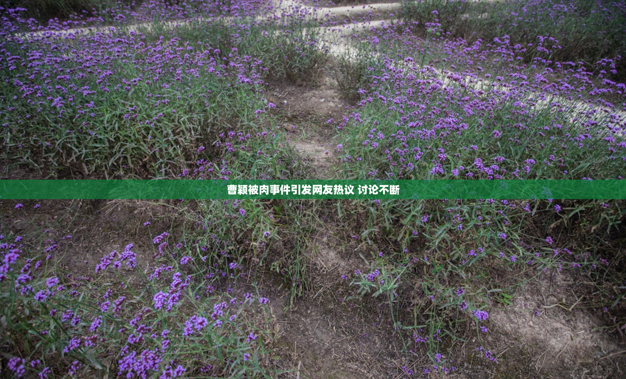曹颖被肉事件引发网友热议 讨论不断
