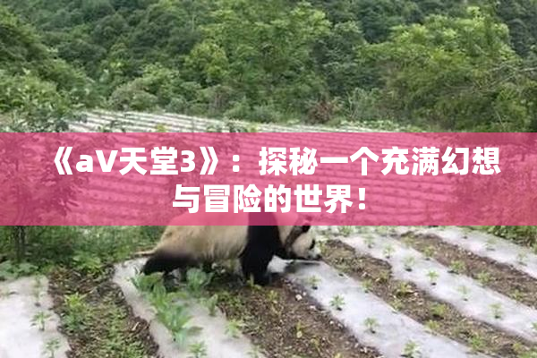 《a∨天堂3》：探秘一个充满幻想与冒险的世界！