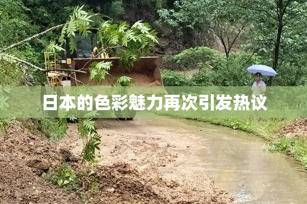 日本的色彩魅力再次引发热议