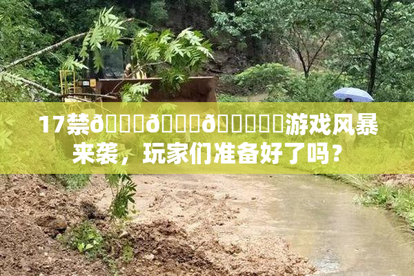 17禁🍆🍑🔞❌‌游戏风暴来袭，玩家们准备好了吗？