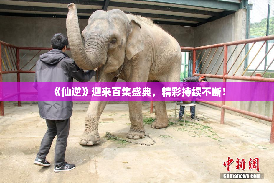 《仙逆》迎来百集盛典，精彩持续不断！