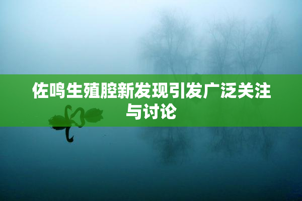 佐鸣生殖腔新发现引发广泛关注与讨论