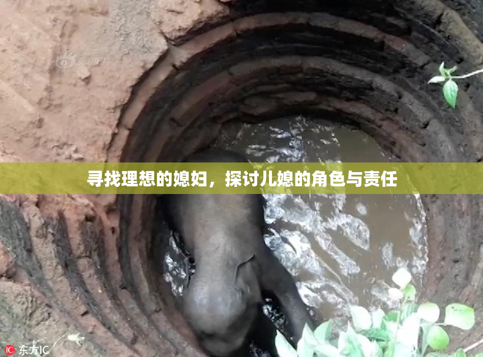 寻找理想的媳妇，探讨儿媳的角色与责任
