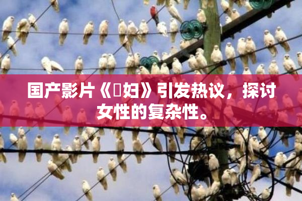 国产影片《婬妇》引发热议，探讨女性的复杂性。
