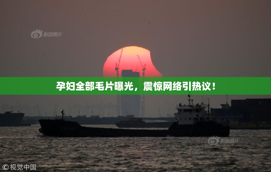孕妇全部毛片曝光，震惊网络引热议！