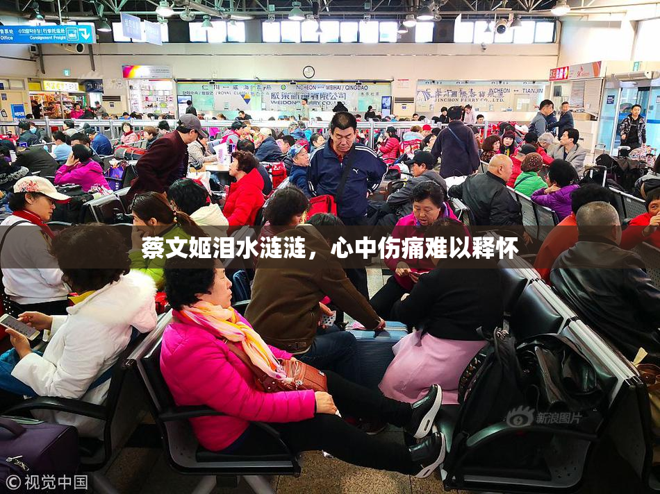 蔡文姬泪水涟涟，心中伤痛难以释怀