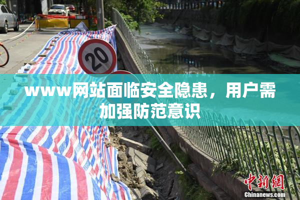 www网站面临安全隐患，用户需加强防范意识