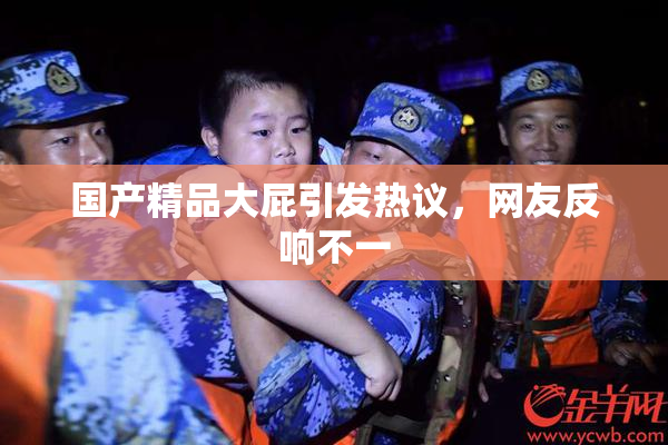 国产精品大屁引发热议，网友反响不一