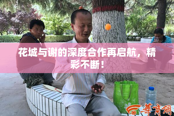 花城与谢的深度合作再启航，精彩不断！