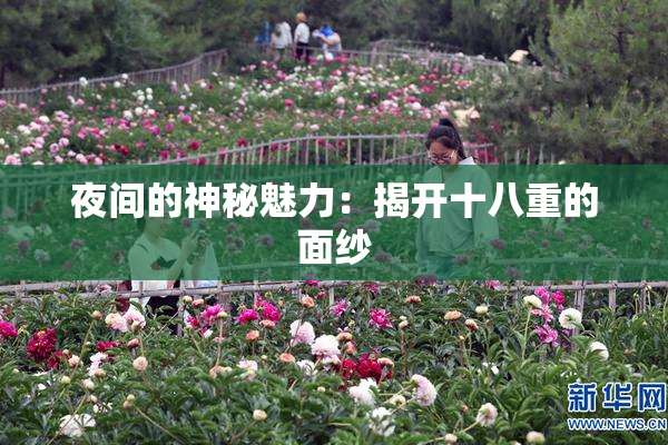 夜间的神秘魅力：揭开十八重的面纱