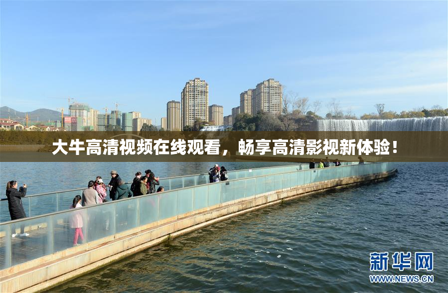 大牛高清视频在线观看，畅享高清影视新体验！