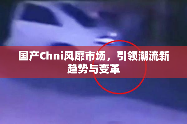 国产Chni风靡市场，引领潮流新趋势与变革